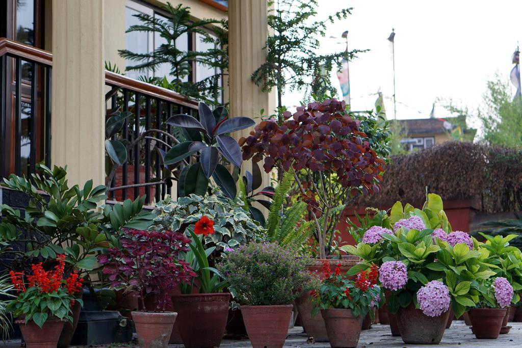 Swayambhu View Guest House 카트만두 외부 사진